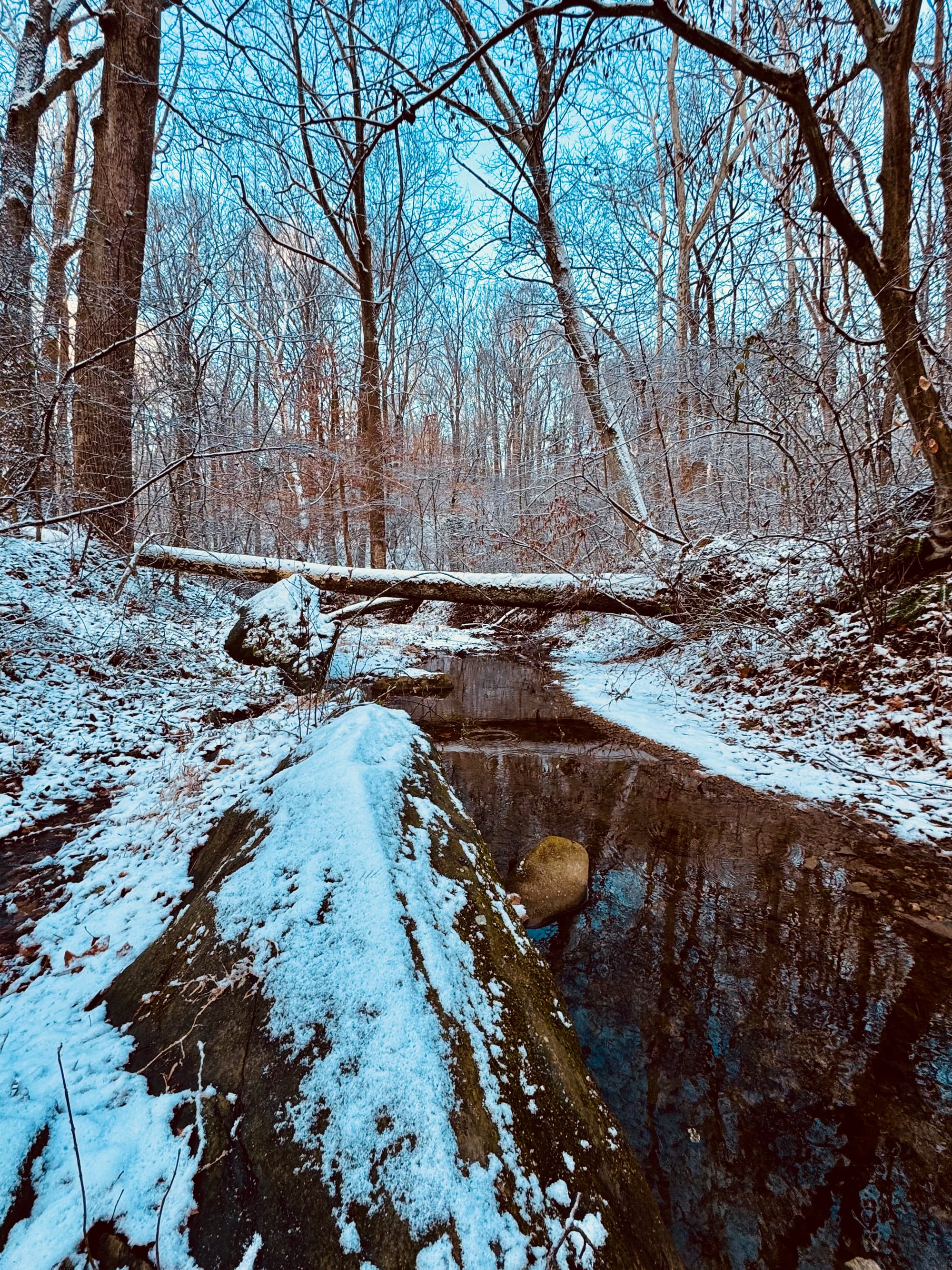 A woodland stream with a dusting of snow.