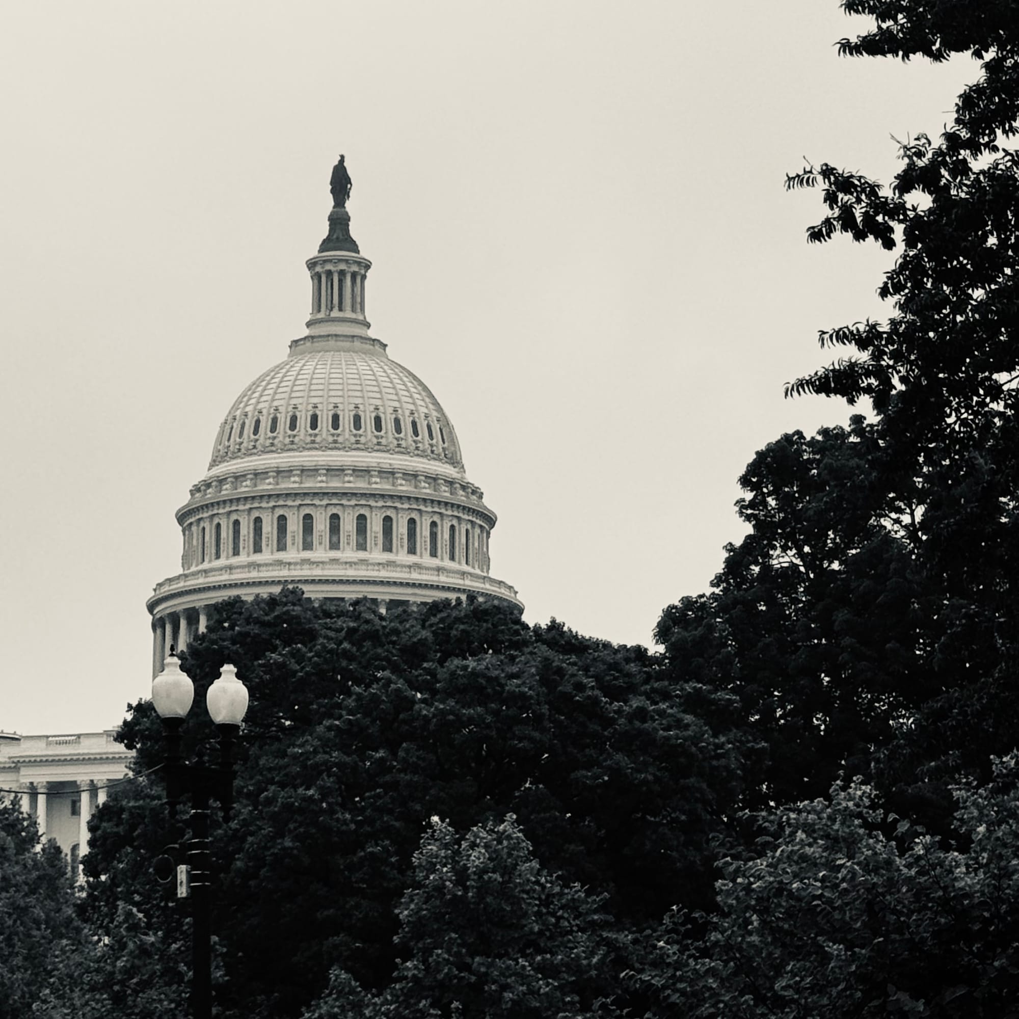 Black and white photo of the US Capitol Building sticking up behind some trees.