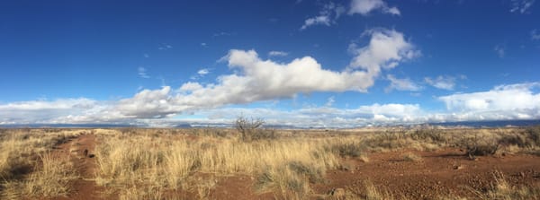 A desert grassland under partly cloudy skies.
