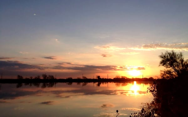 Sunrise over a wetland with a few clouds in the sky in the distance, a few trees and power poles on the horizon, and reflection of the sun and clouds in the water.